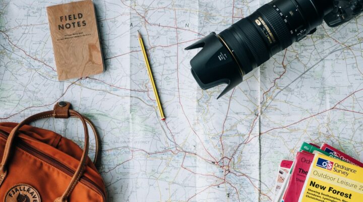 Map and travel items – capital gains tax treaty